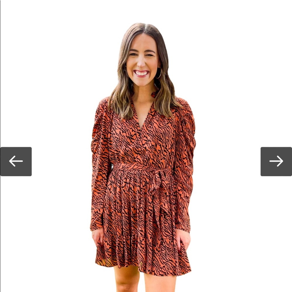 NWT Anna Cate Elizabeth Dress/ Tiger Print